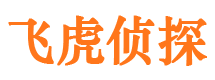 天等侦探调查公司